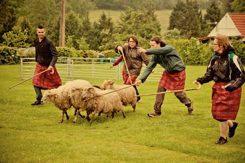 Image The Highland Games | TeambuildingGuide