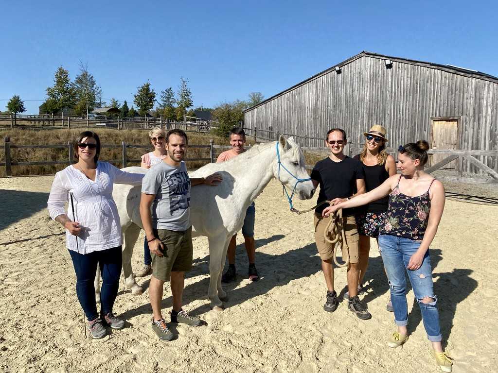 Image Teambuilding with the horses | TeambuildingGuide