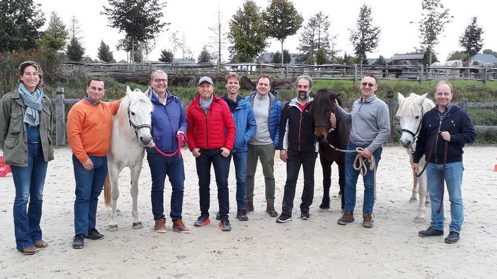 Image Teambuilding with the horses | TeambuildingGuide