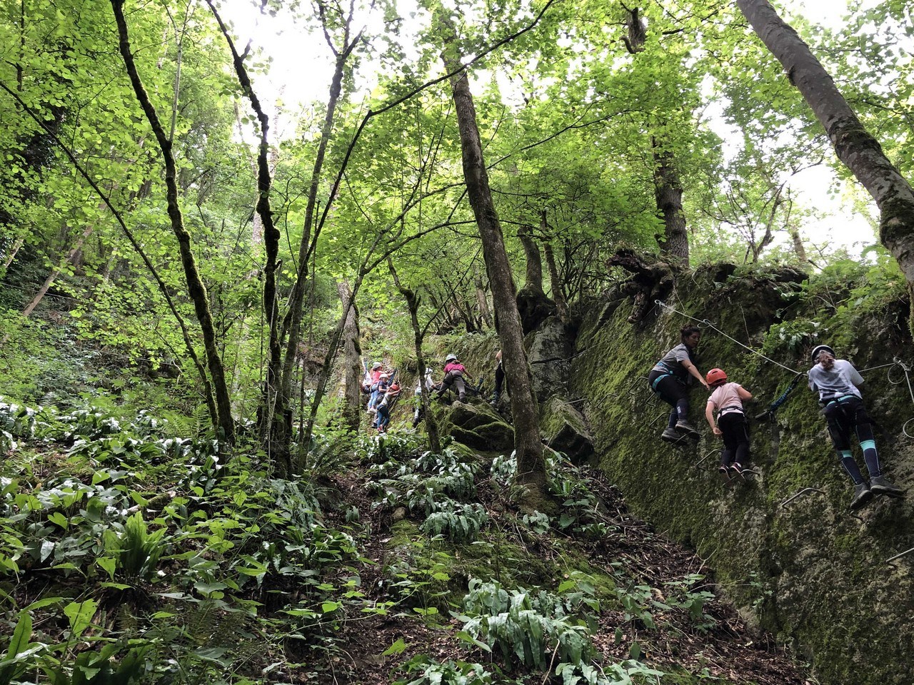 Image Via Ferrata en zipline-route in het bos | TeambuildingGuide