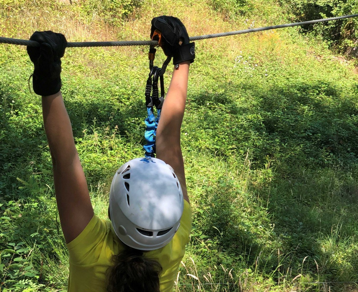 Image Via Ferrata and zip line route in the forest | TeambuildingGuide